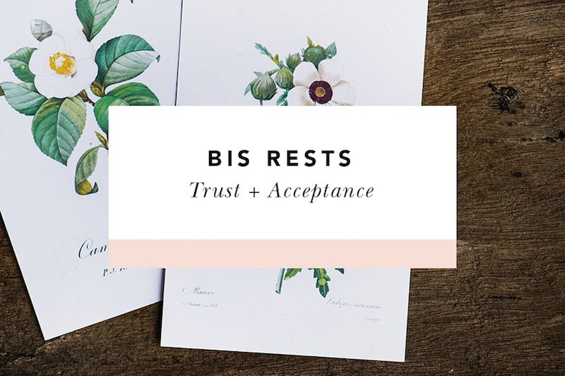 Trust + Acceptance - Blessed Is She