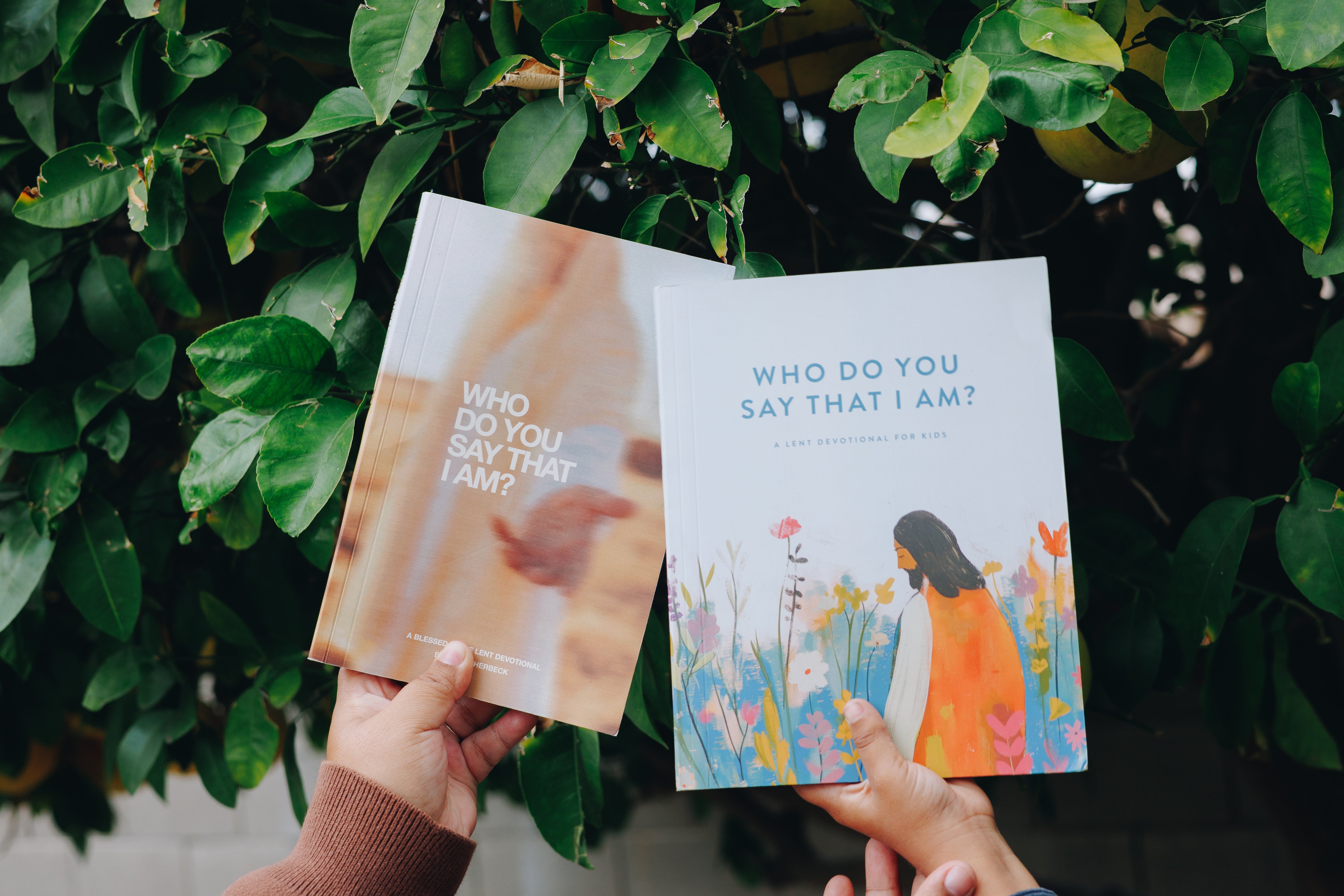 Find Our Lent Devotional Books Online Blessed Is She Blessed