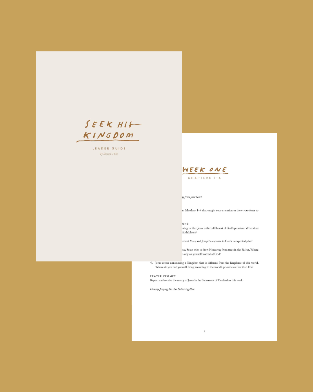 Matthew Gospel Study Leader Guide (Digital Download)