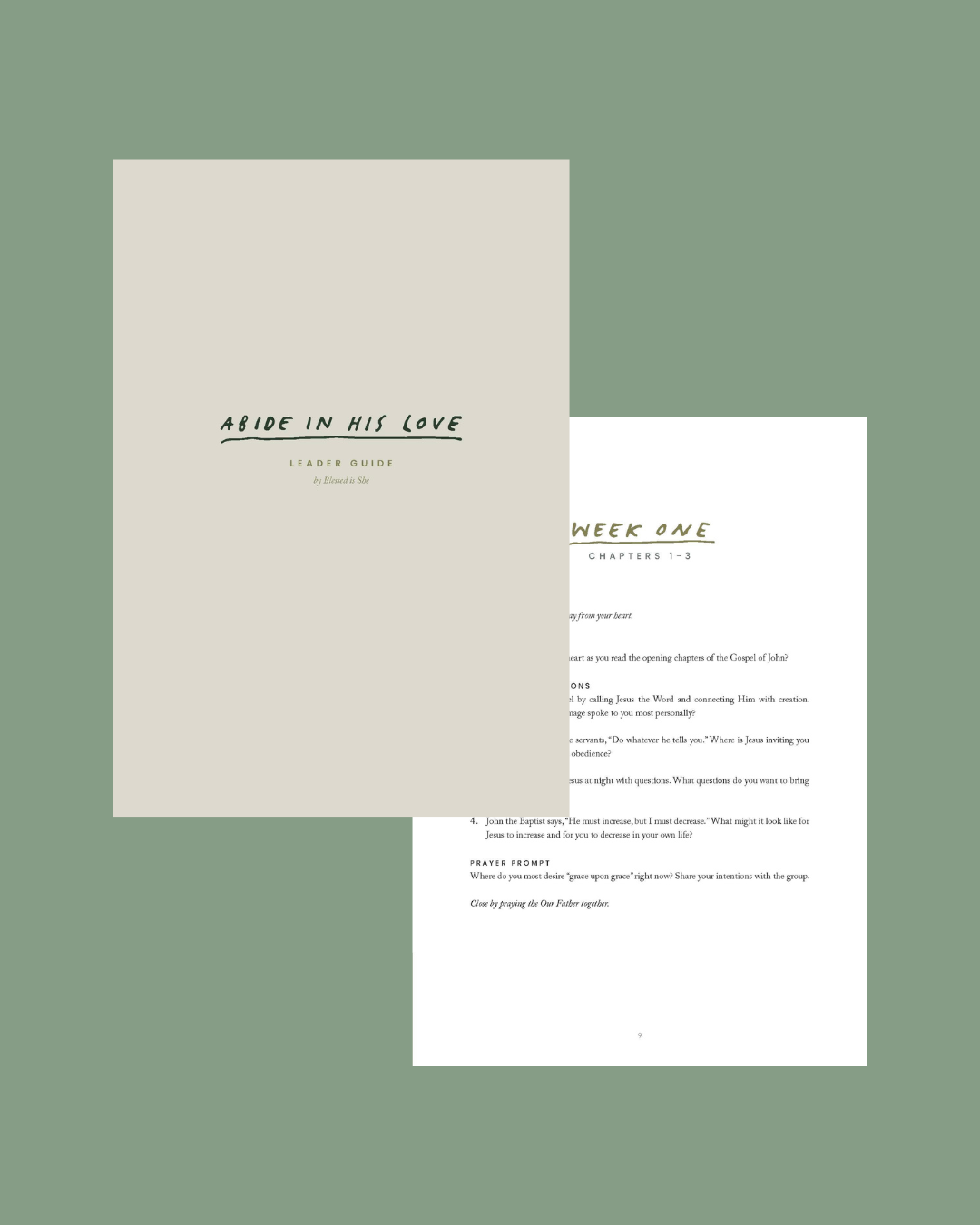 John Gospel Study Leader Guide (Digital Download)