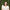 Beth Davis with brown hair stands outdoors with her arms crossed, wearing a light beige short-sleeve top and light blue jeans, with a blurred green foliage background.
