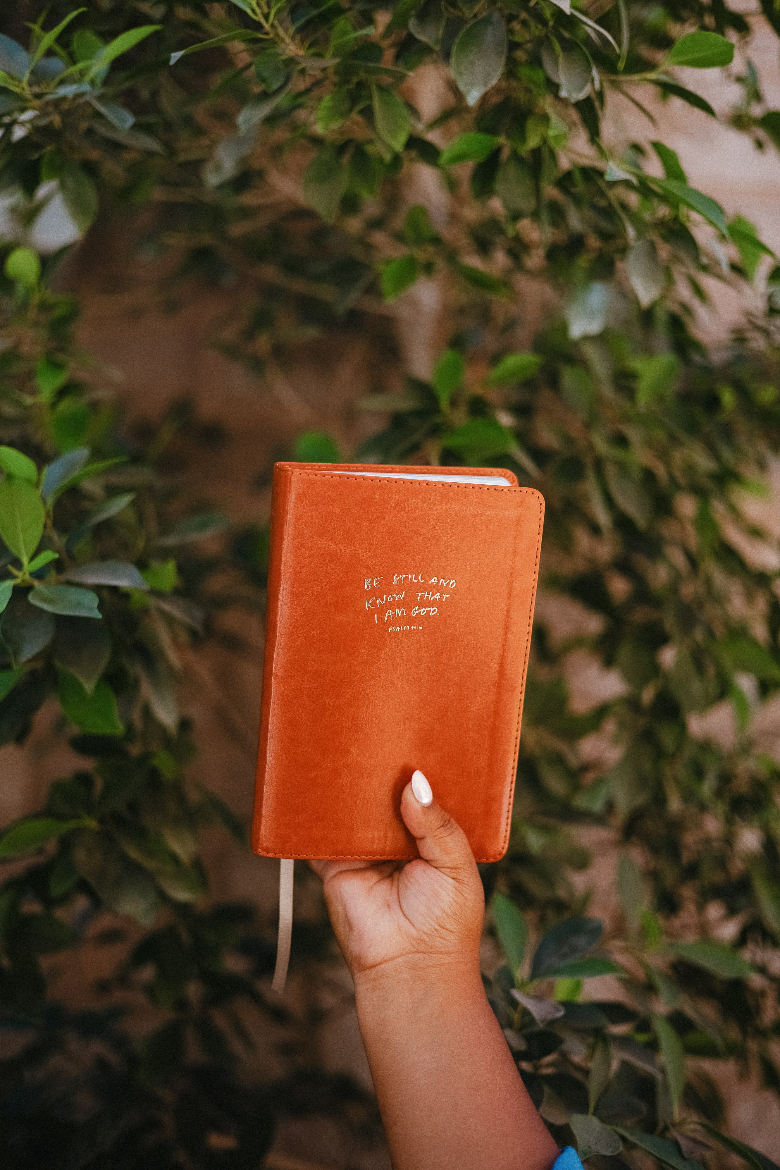 Catholic Compact Journaling Bible