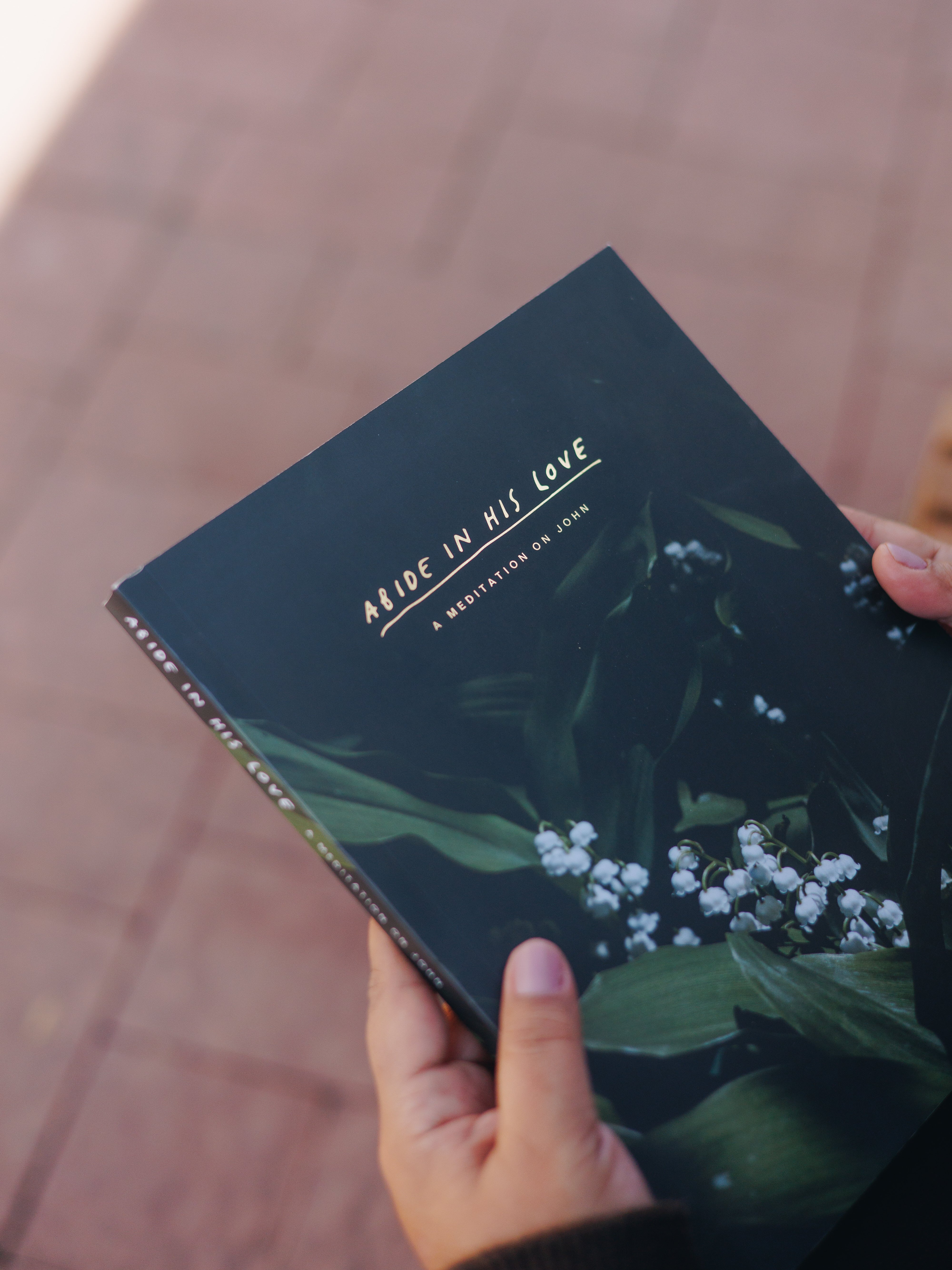 Cover of Abide in His Love Gospel of John study guide