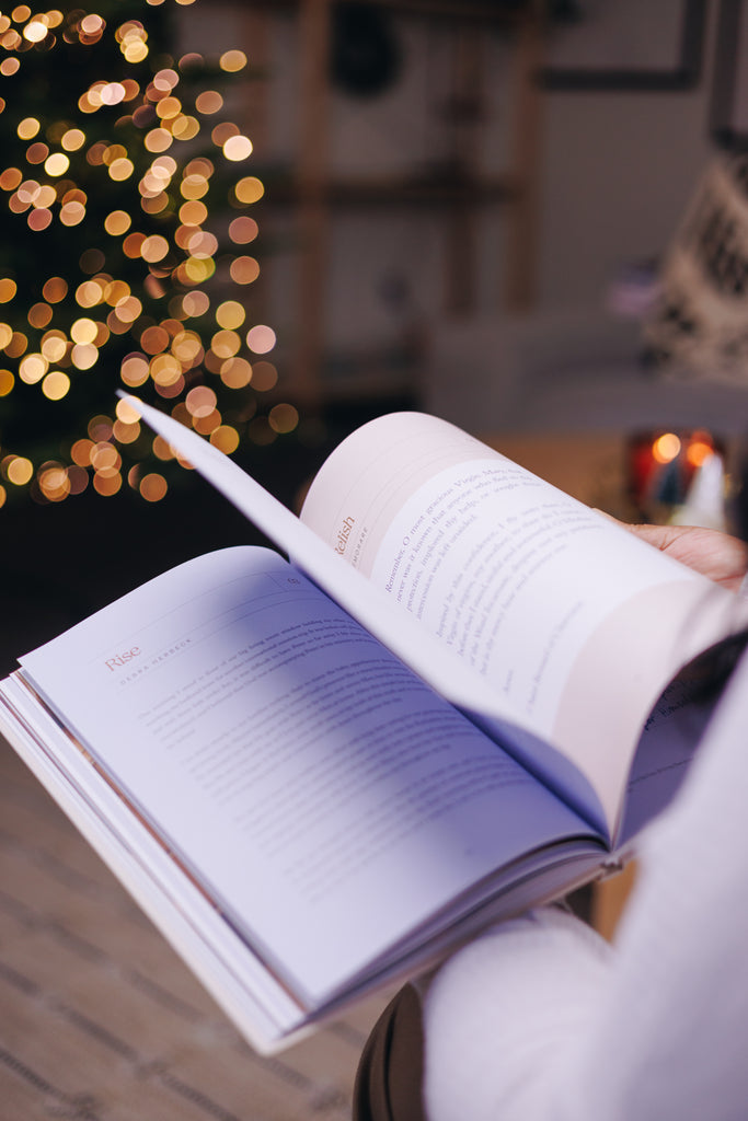 read about virtues of mary