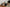 Promotion banner