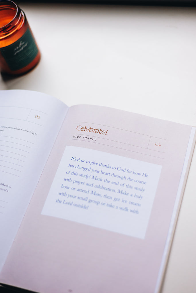 catholic study on mary