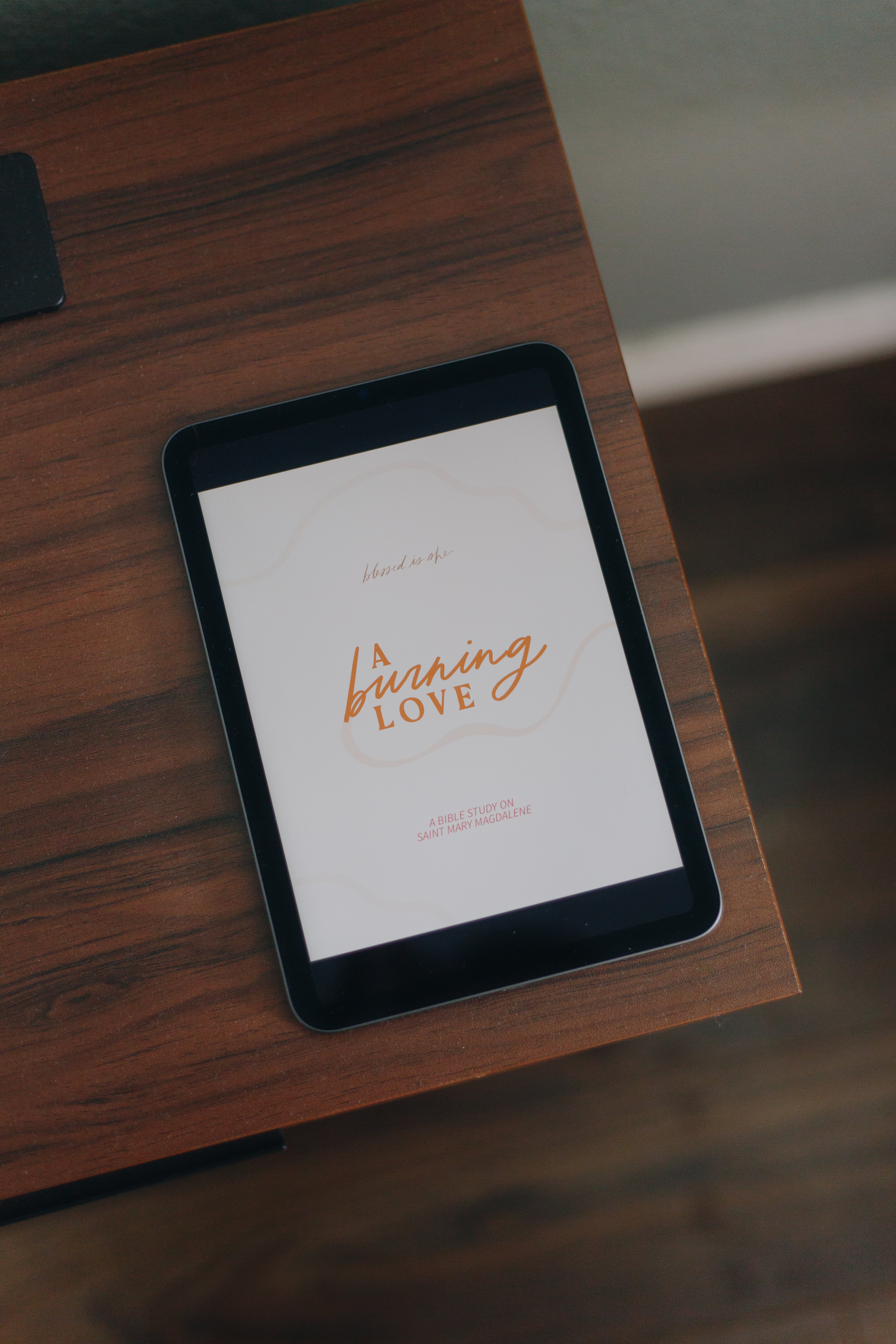 Self-paced Catholic digital study guide exploring the life of Mary