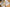 Promotion banner