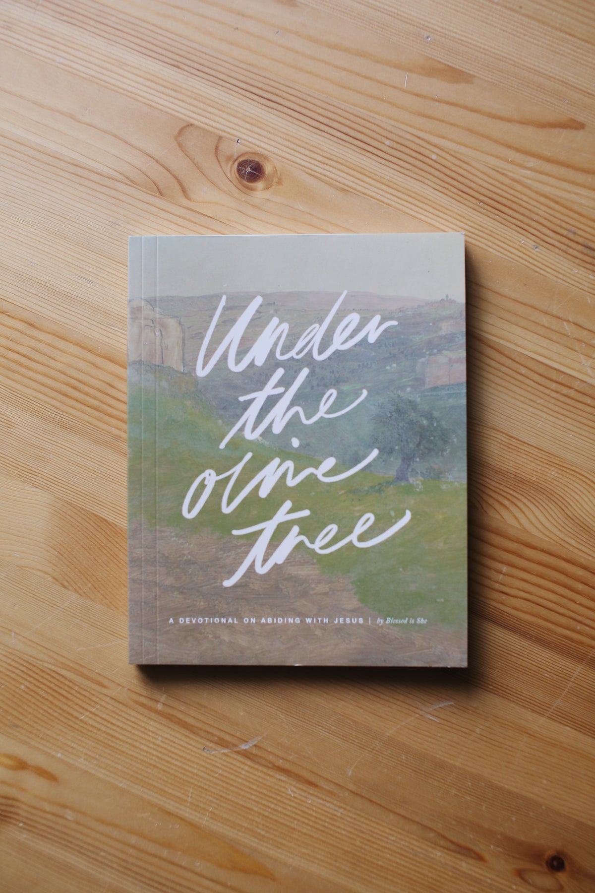 Under the olive tree: A devotional on abiding with Jesus