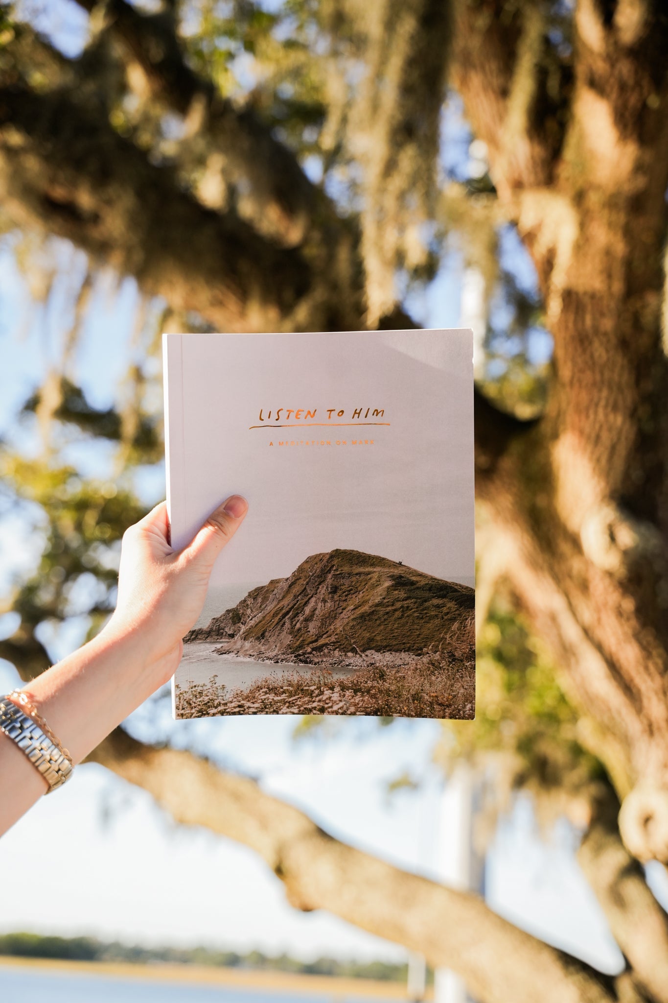 Catholic Bible Study: The Gospel of Mark - Blessed Is She Books
