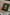 Advent 2024 Digital Download