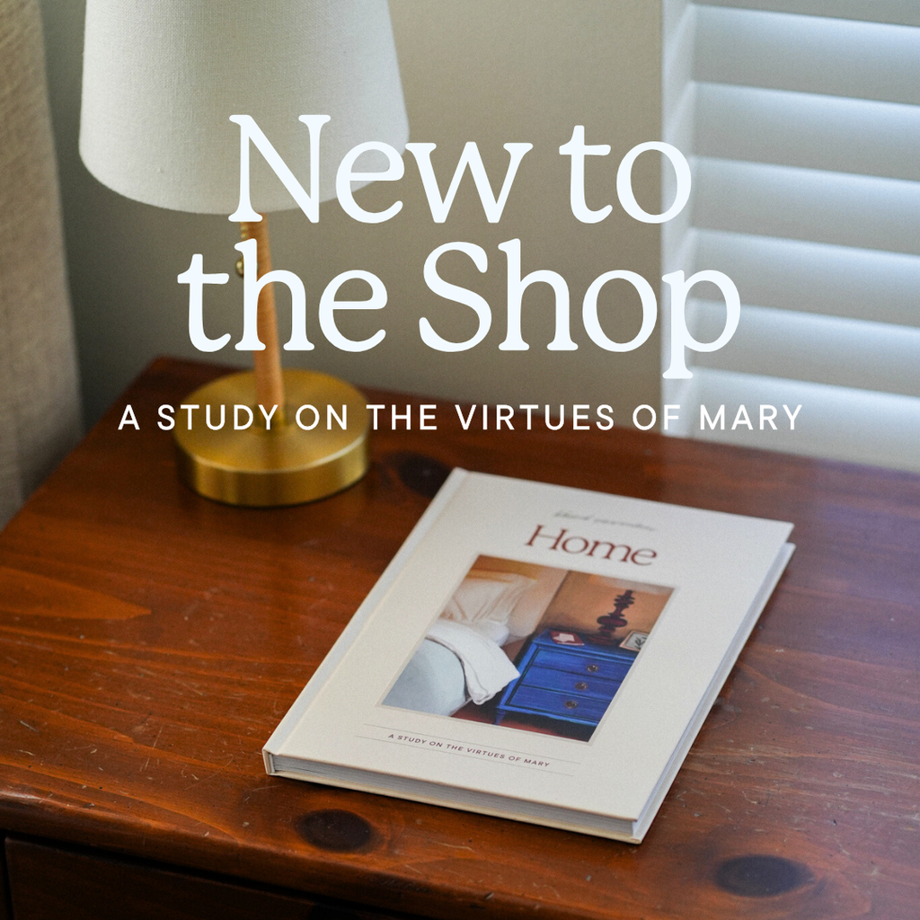 catholic womens study on mary
