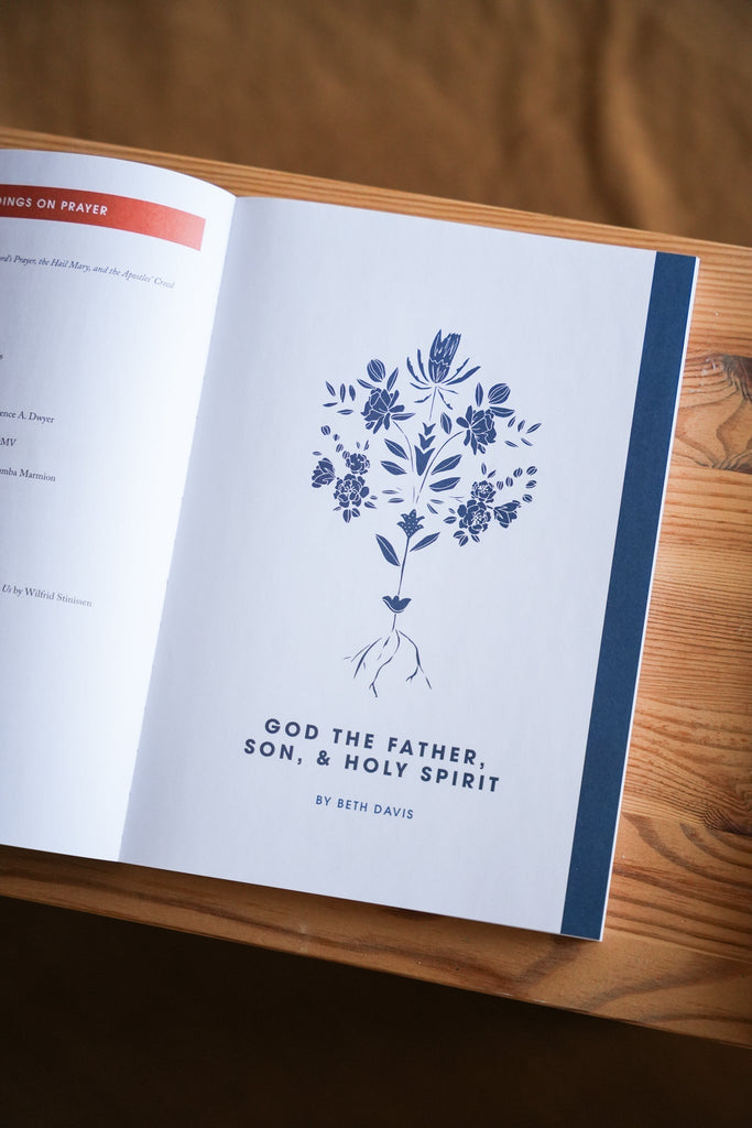 Rooted // Blessed Conversations Study on the Catechism - Blessed Is She Books
