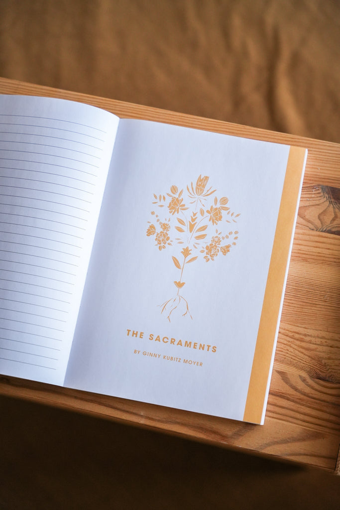 Rooted // Blessed Conversations Study on the Catechism - Blessed Is She Books