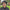Promotion banner