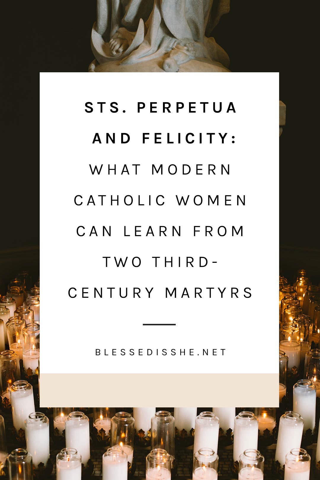 perpetua and felicity summary